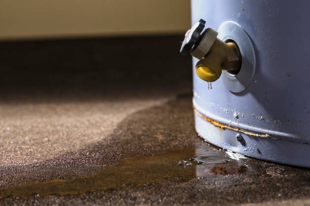 Best Sewage cleanup and water damage restoration  in Chase, PA