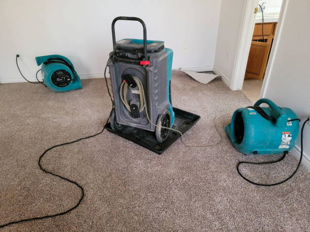 Best 24/7 water damage repair  in Chase, PA