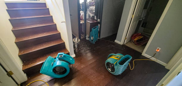 Best Flood restoration services  in Chase, PA