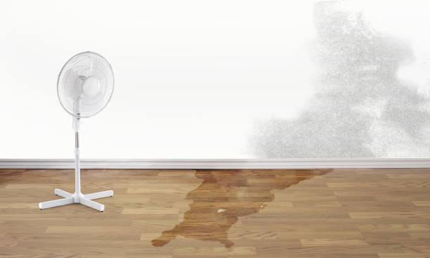 Best Flooded house restoration  in Chase, PA