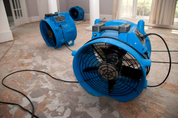 Best 24-hour water damage restoration  in Chase, PA
