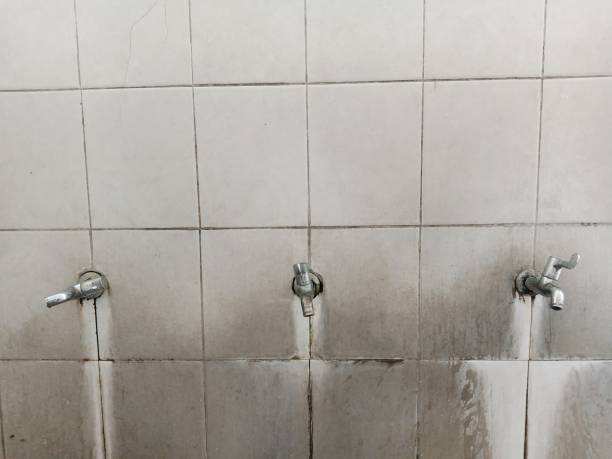 Best Local water damage restoration  in Chase, PA