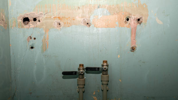 Best Water damage restoration near me  in Chase, PA