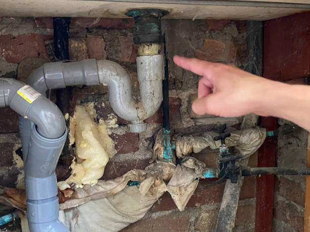 Best Carpet water damage restoration  in Chase, PA