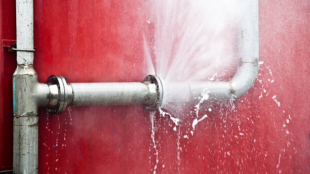 Best Local water damage restoration  in Chase, PA